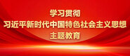 骚货客厅自慰学习贯彻习近平新时代中国特色社会主义思想主题教育_fororder_ad-371X160(2)